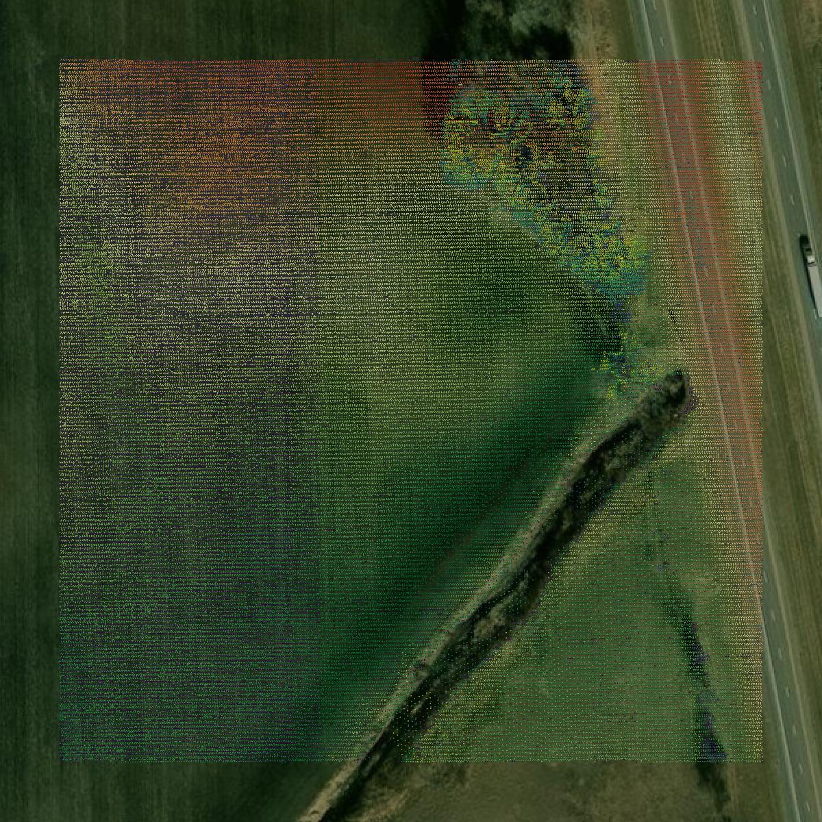 This image shows a LiDAR point cloud in Worth County created using GIS data in Equator.