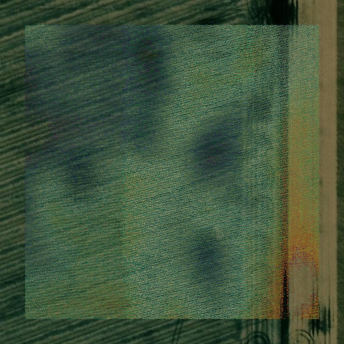 This image shows a LiDAR point cloud in Wright County created using GIS data in Equator.