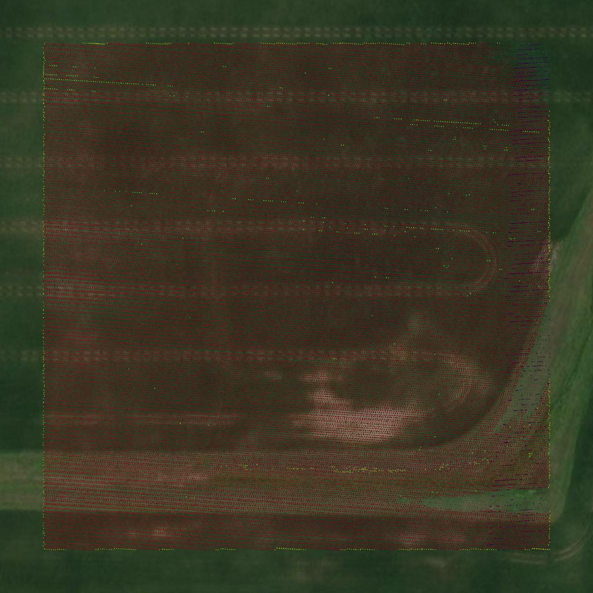 This image shows a LiDAR point cloud in Allen County created using GIS data in Equator.