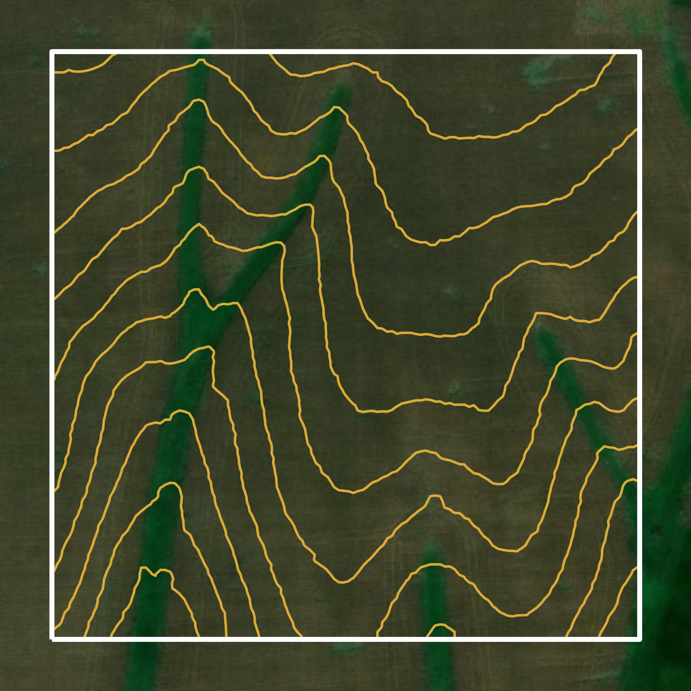 This image shows parcel and building data in Anderson County created using GIS data in Equator.