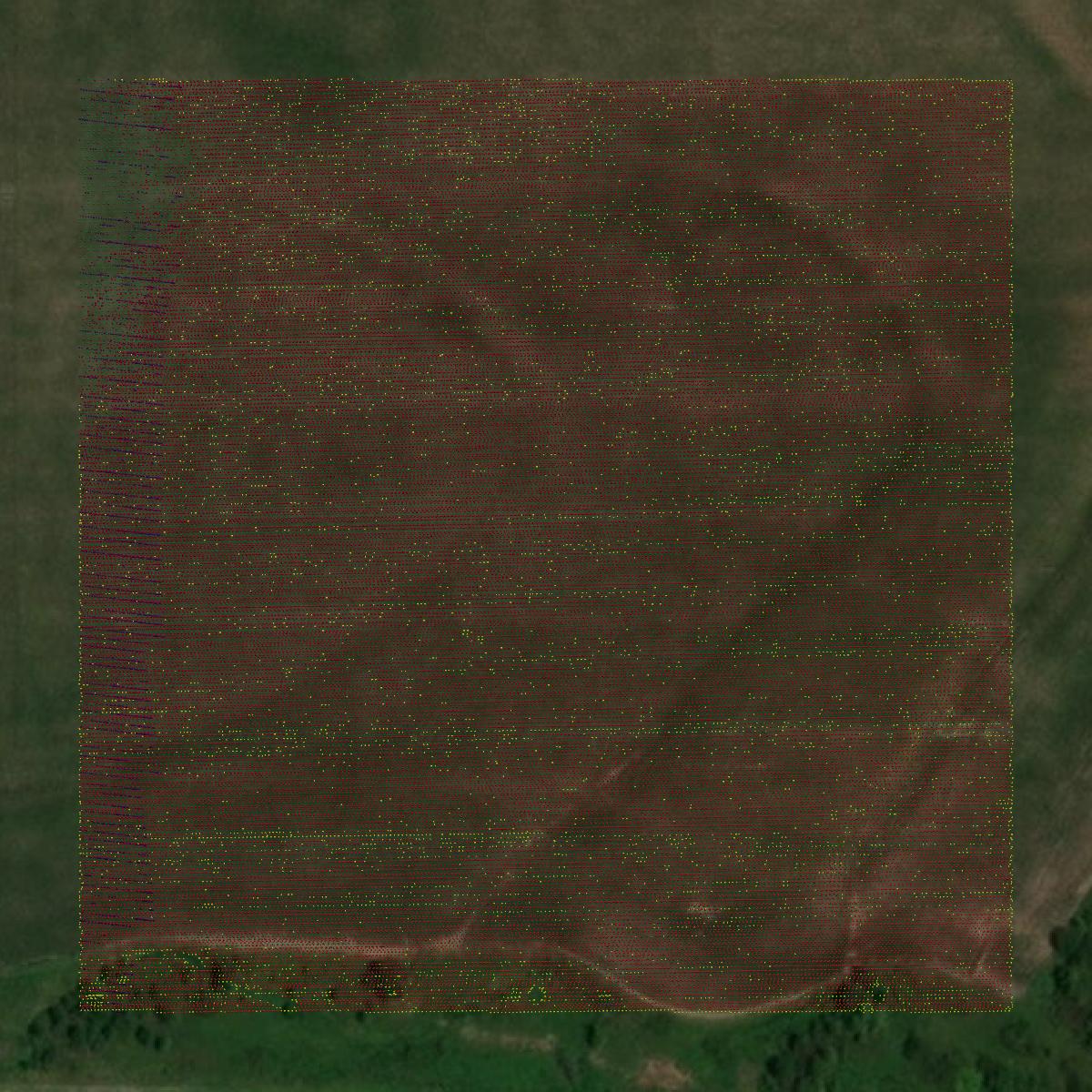 This image shows a LiDAR point cloud in Anderson County created using GIS data in Equator.