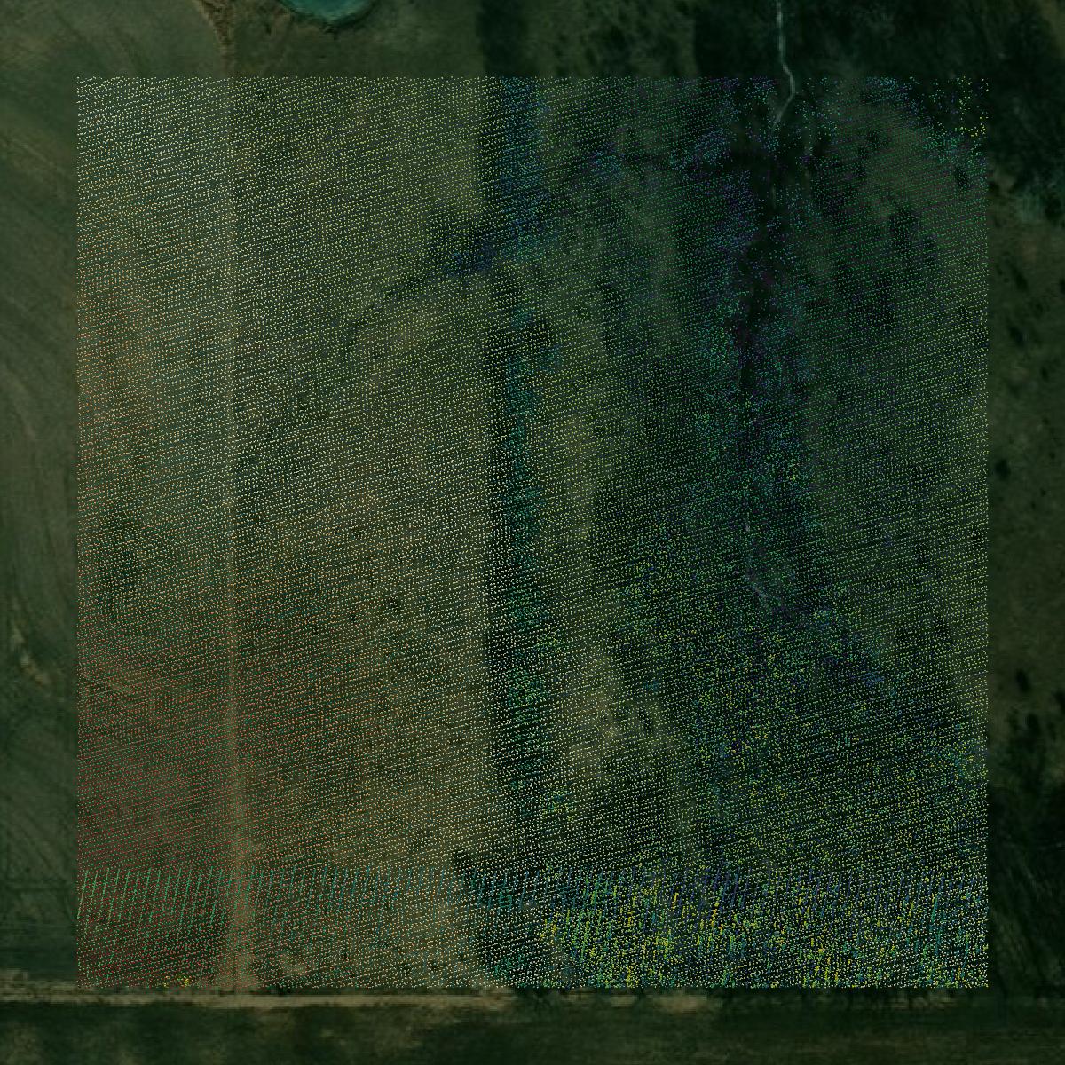 This image shows a LiDAR point cloud in Atchison County created using GIS data in Equator.