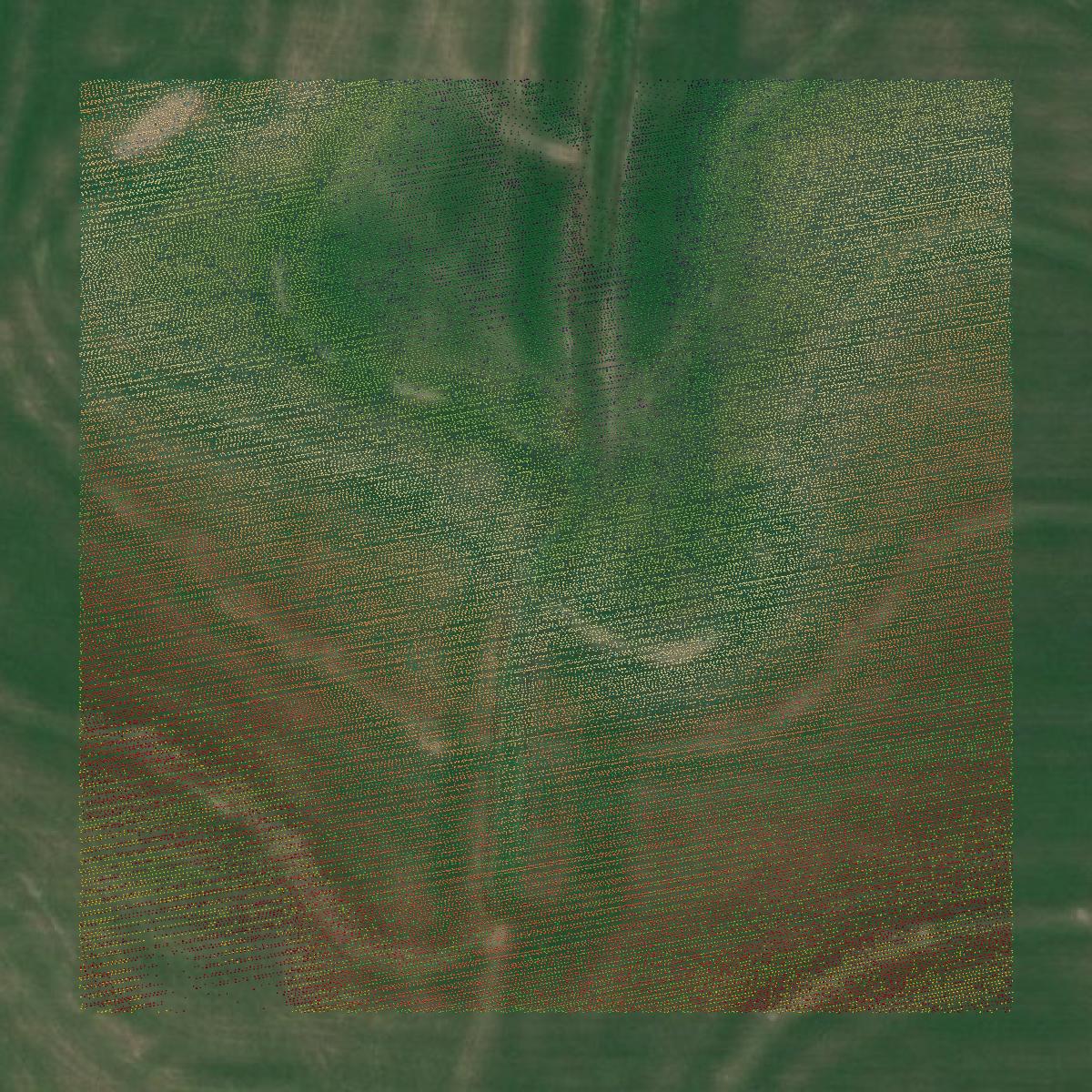 This image shows a LiDAR point cloud in Barton County created using GIS data in Equator.