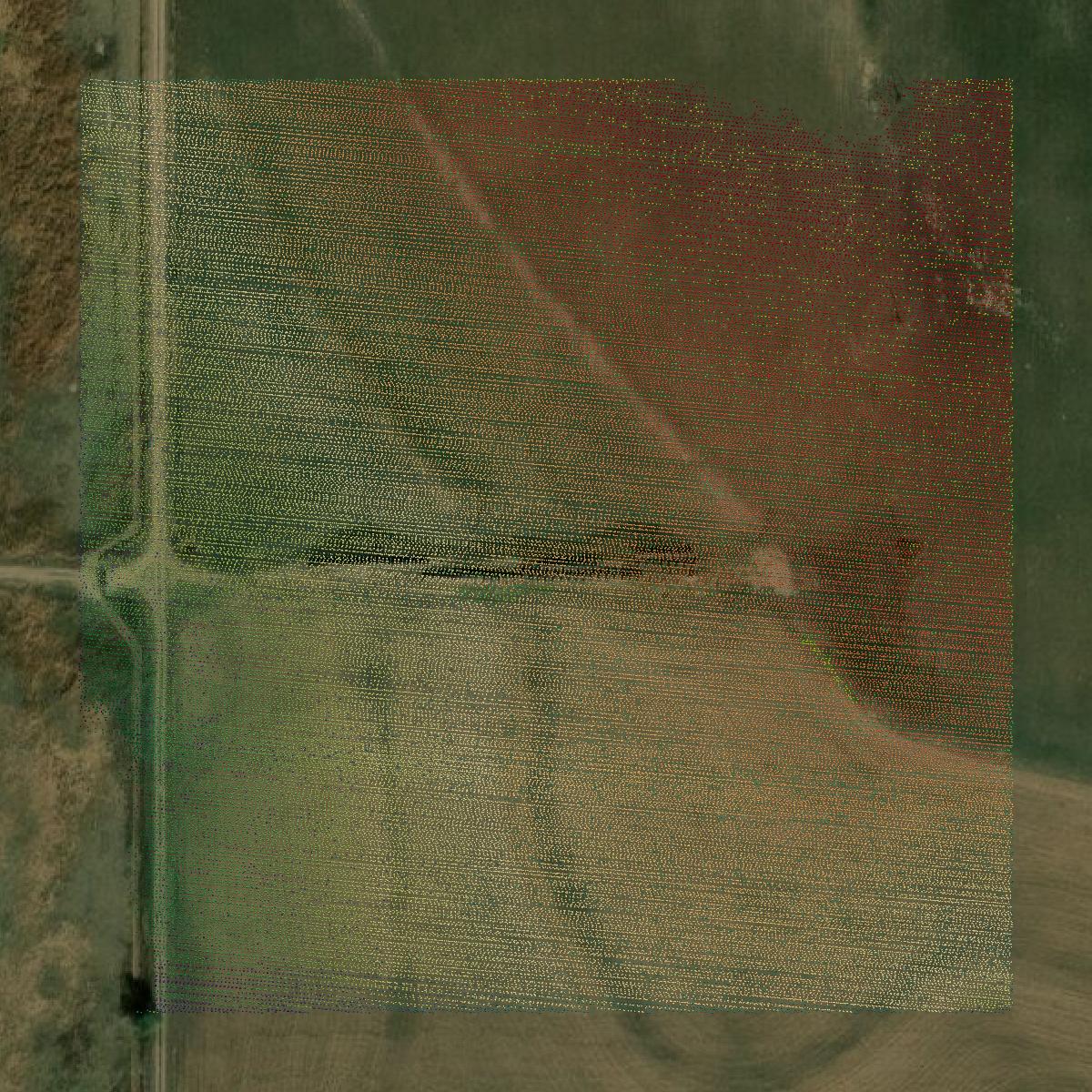 This image shows a LiDAR point cloud in Barton County created using GIS data in Equator.