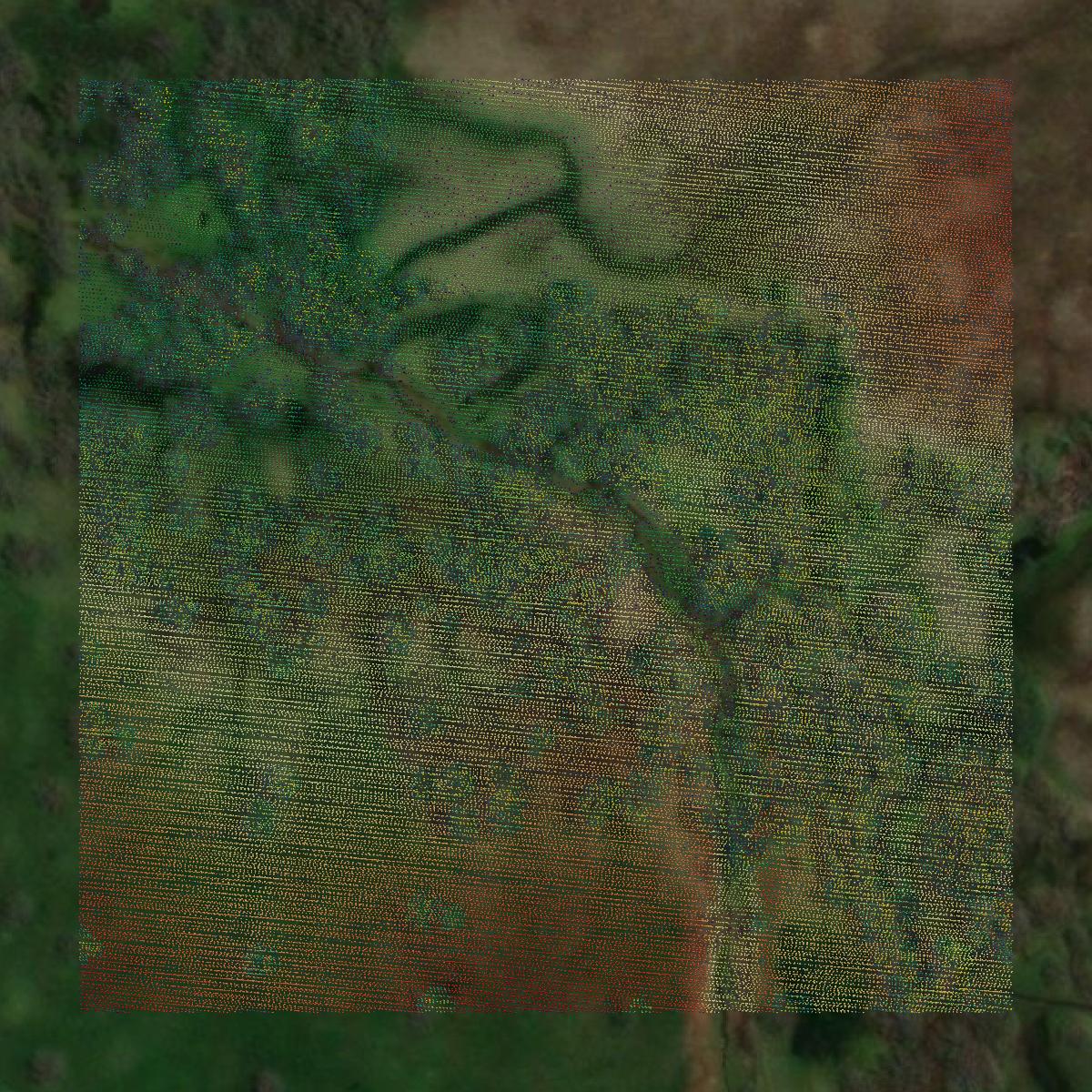 This image shows a LiDAR point cloud in Bourbon County created using GIS data in Equator.