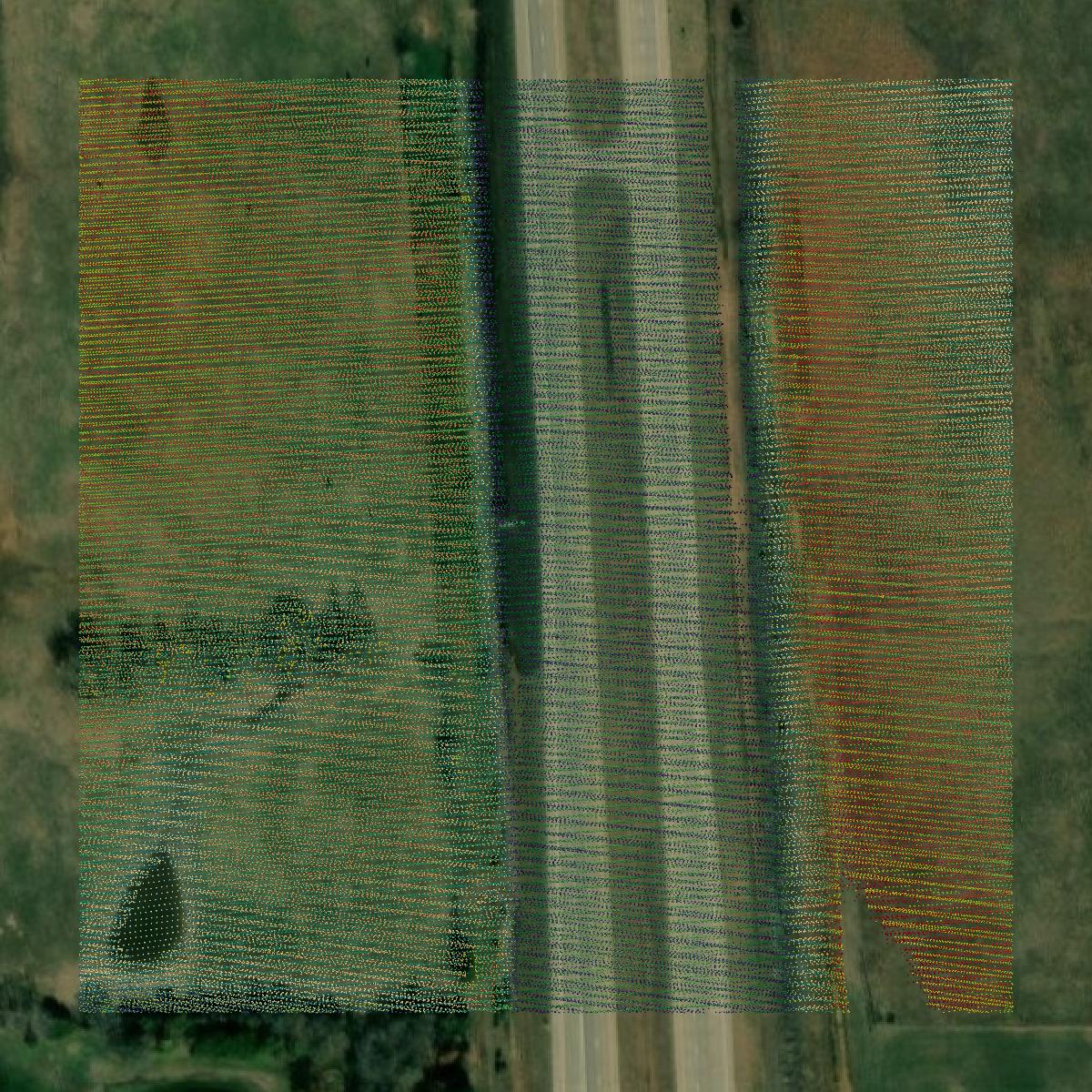 This image shows a LiDAR point cloud in Bourbon County created using GIS data in Equator.