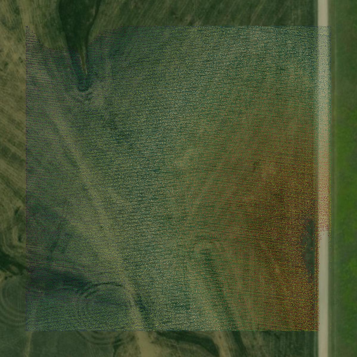 This image shows a LiDAR point cloud in Butler County created using GIS data in Equator.