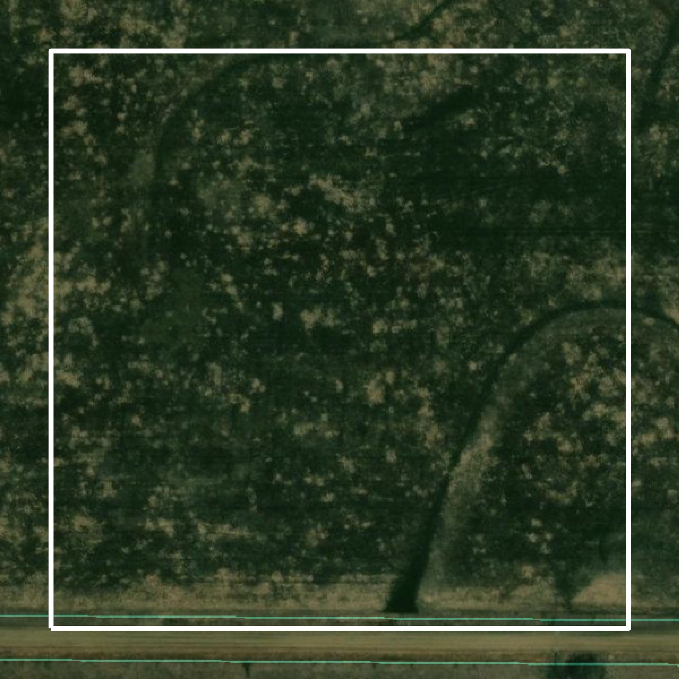This image shows parcel and building data in Chase County created using GIS data in Equator.