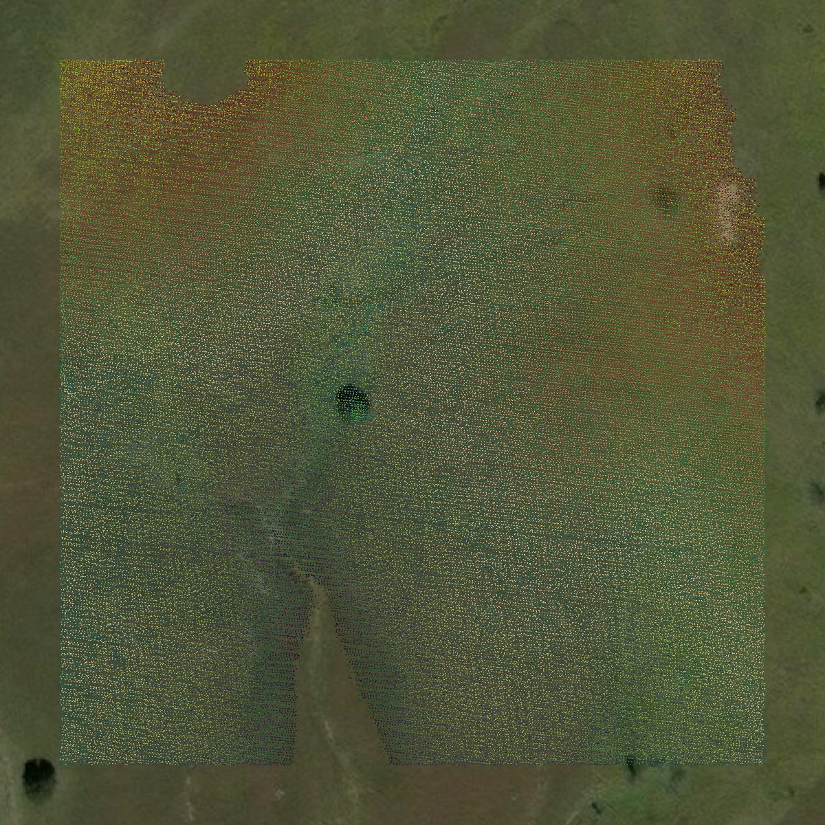 This image shows a LiDAR point cloud in Chautauqua County created using GIS data in Equator.