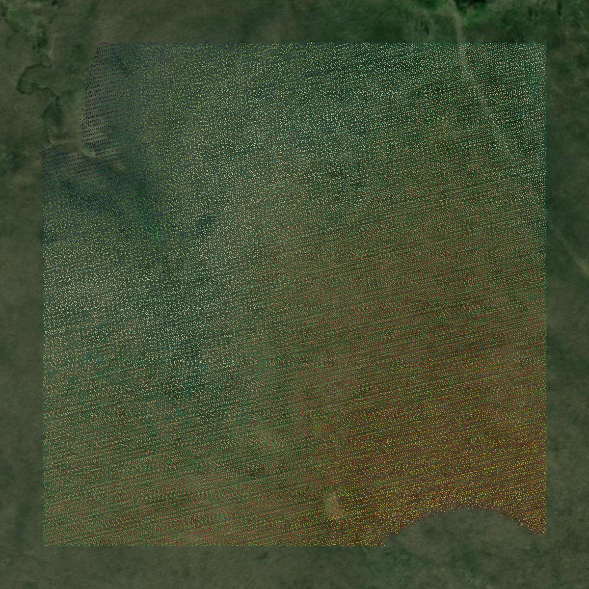 This image shows a LiDAR point cloud in Chautauqua County created using GIS data in Equator.