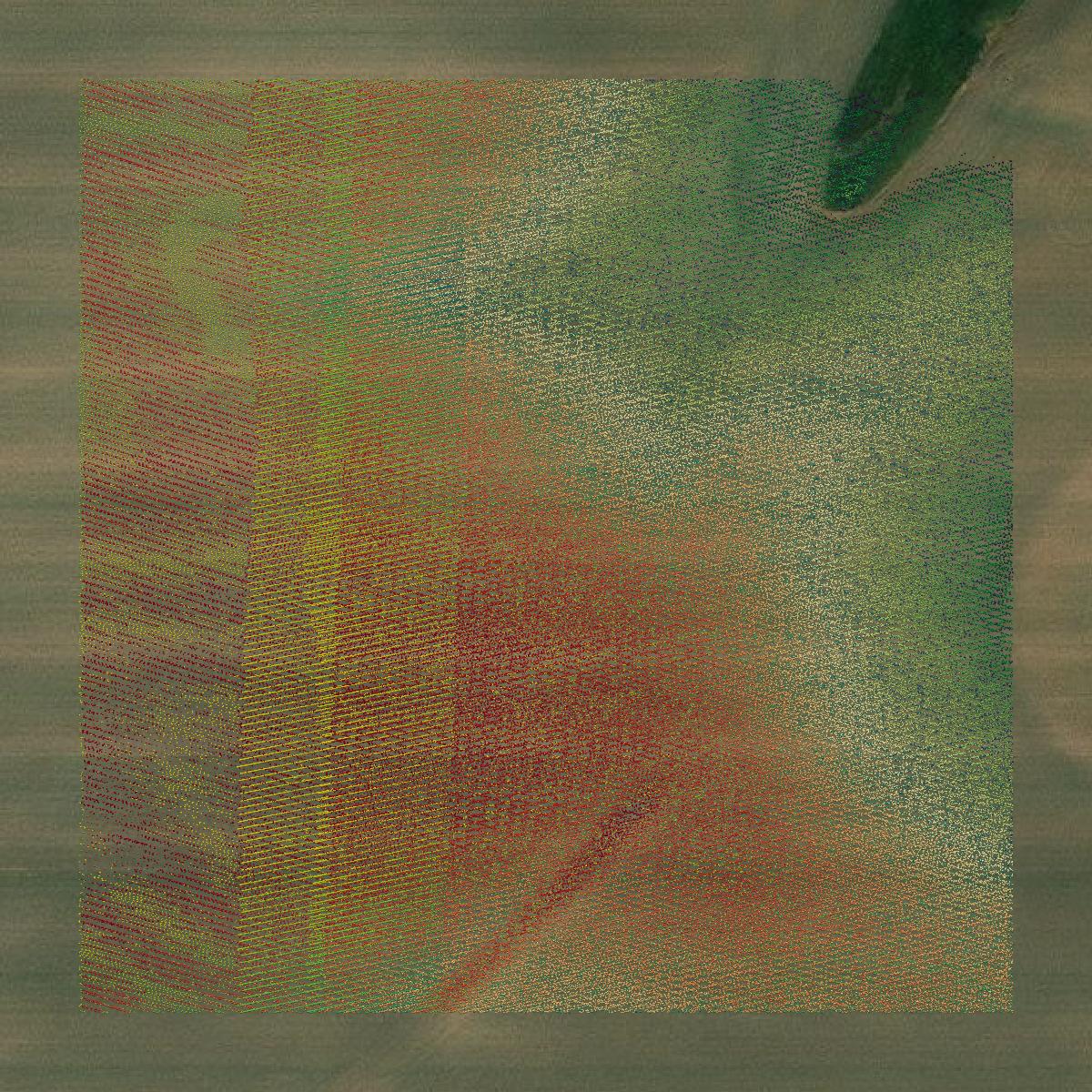 This image shows a LiDAR point cloud in Cherokee County created using GIS data in Equator.