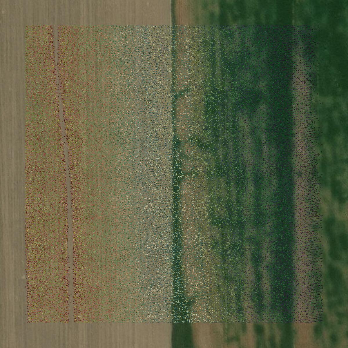 This image shows a LiDAR point cloud in Cheyenne County created using GIS data in Equator.