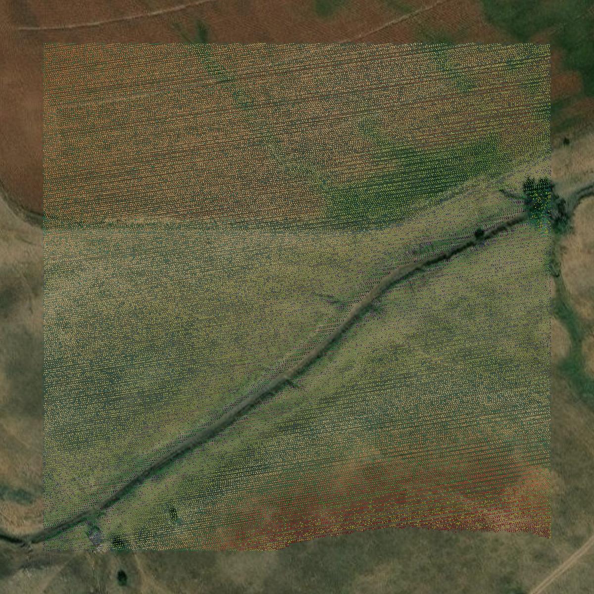 This image shows a LiDAR point cloud in Cheyenne County created using GIS data in Equator.