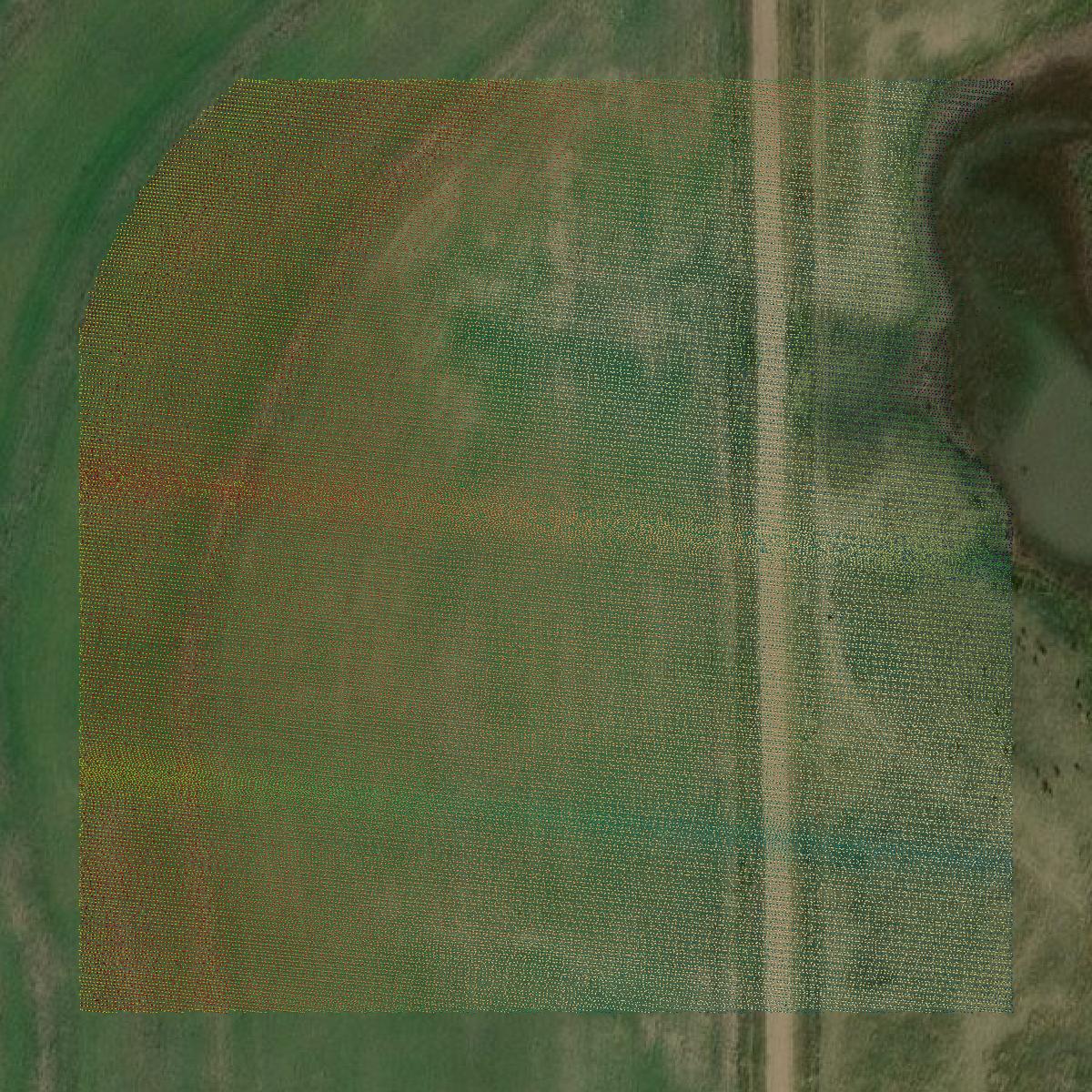 This image shows a LiDAR point cloud in Clark County created using GIS data in Equator.