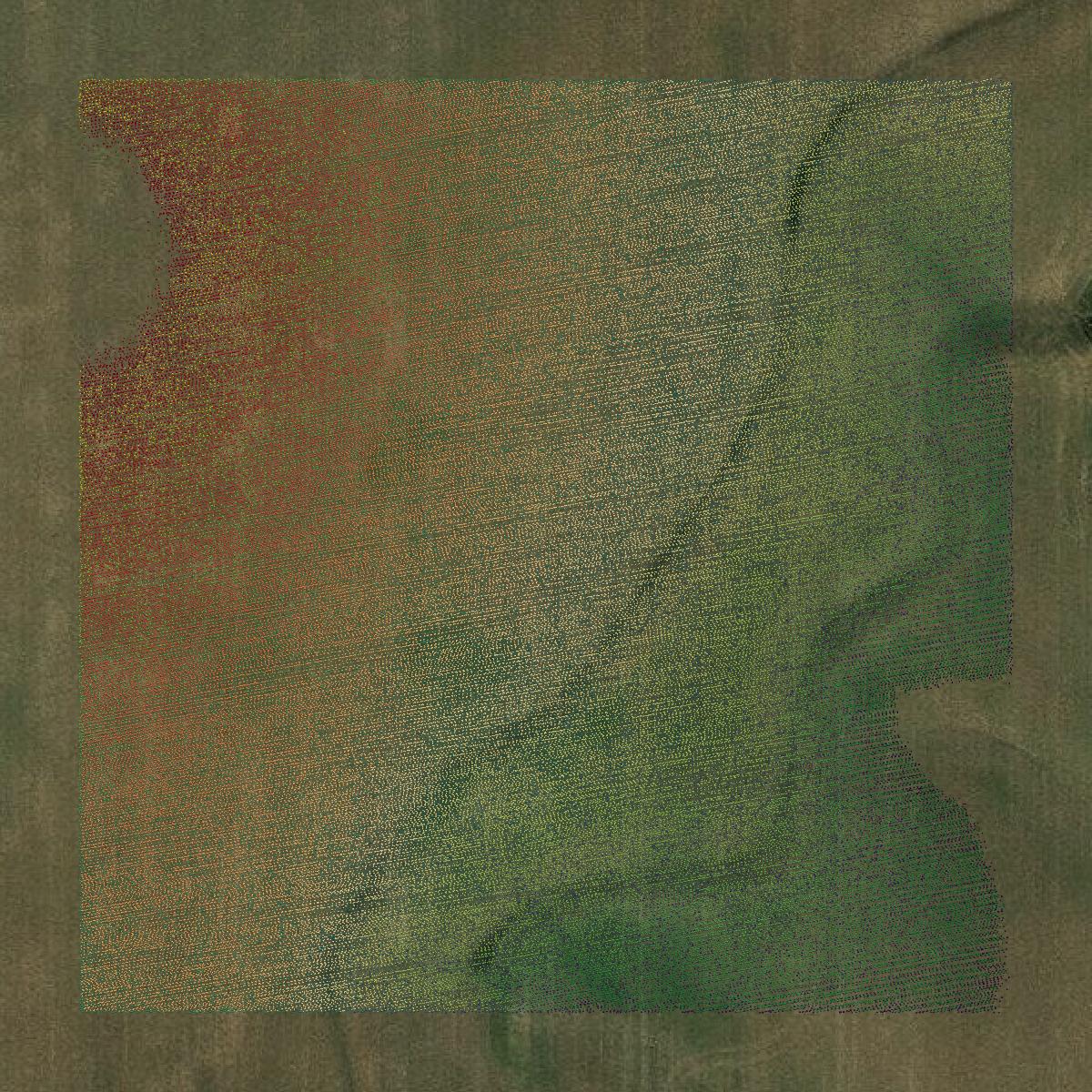 This image shows a LiDAR point cloud in Clay County created using GIS data in Equator.