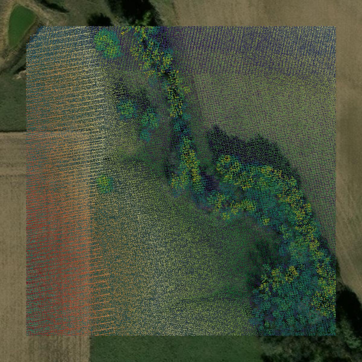 This image shows a LiDAR point cloud in Clay County created using GIS data in Equator.