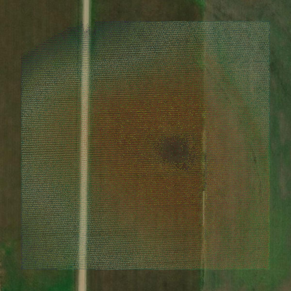 This image shows a LiDAR point cloud in Coffey County created using GIS data in Equator.