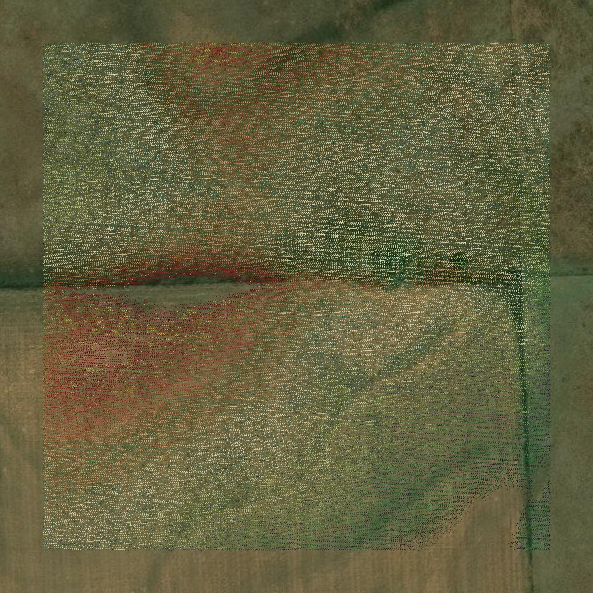 This image shows a LiDAR point cloud in Comanche County created using GIS data in Equator.
