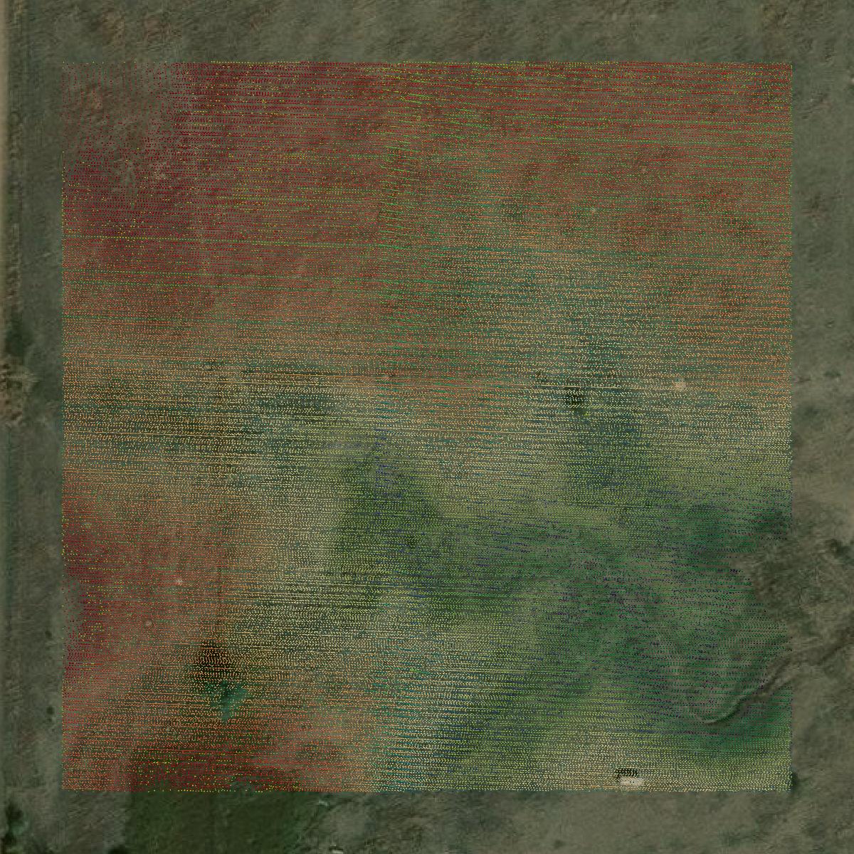 This image shows a LiDAR point cloud in Comanche County created using GIS data in Equator.