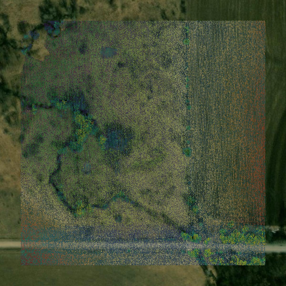 This image shows a LiDAR point cloud in Cowley County created using GIS data in Equator.