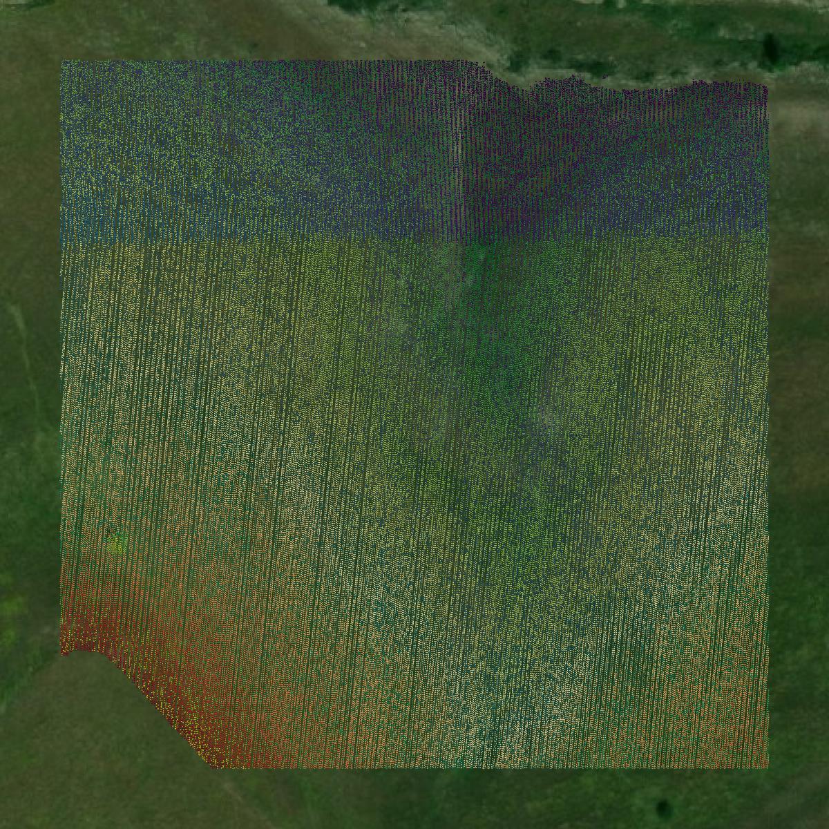 This image shows a LiDAR point cloud in Cowley County created using GIS data in Equator.