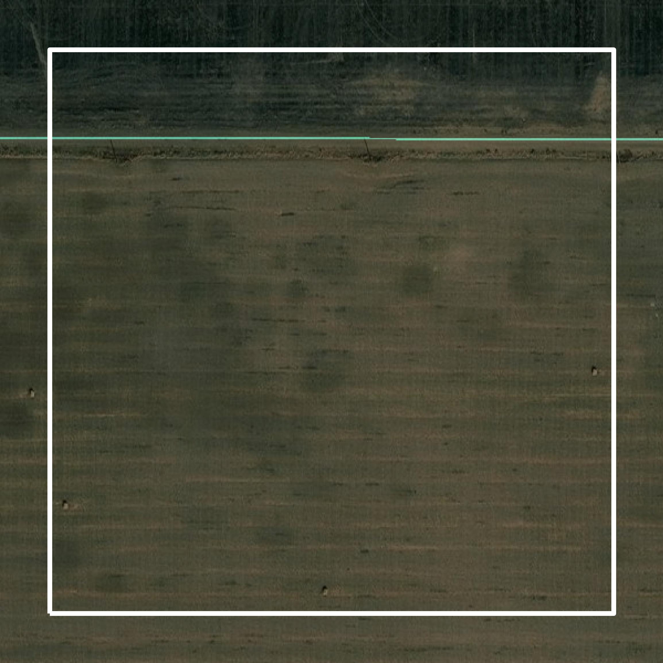 This image shows parcel and building data in Decatur County created using GIS data in Equator.