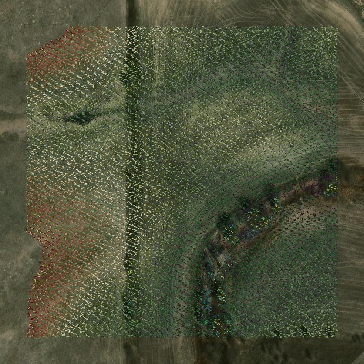 This image shows a LiDAR point cloud in Decatur County created using GIS data in Equator.