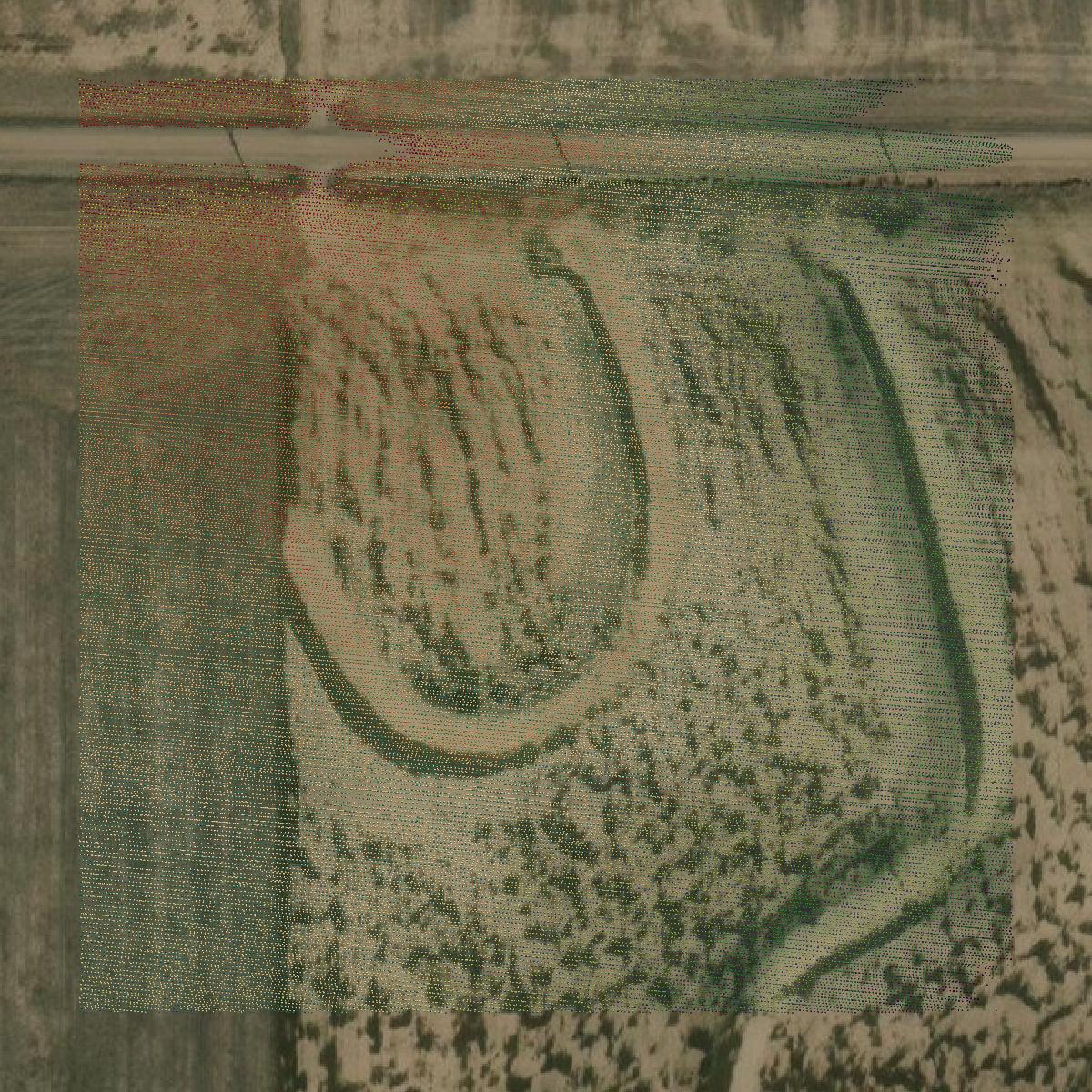 This image shows a LiDAR point cloud in Decatur County created using GIS data in Equator.