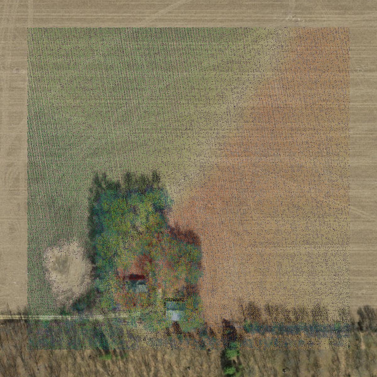 This image shows a LiDAR point cloud in Douglas County created using GIS data in Equator.