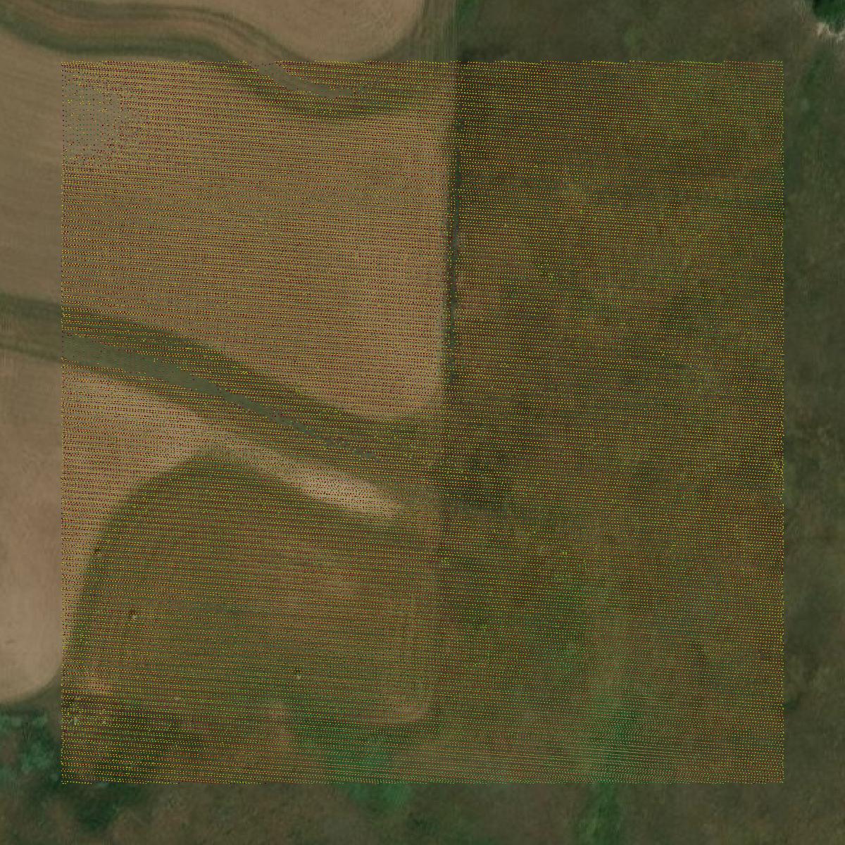 This image shows a LiDAR point cloud in Ellis County created using GIS data in Equator.