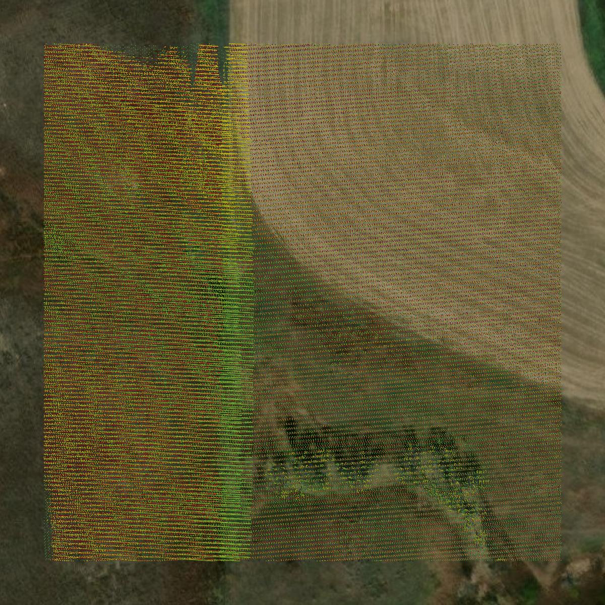 This image shows a LiDAR point cloud in Ellis County created using GIS data in Equator.