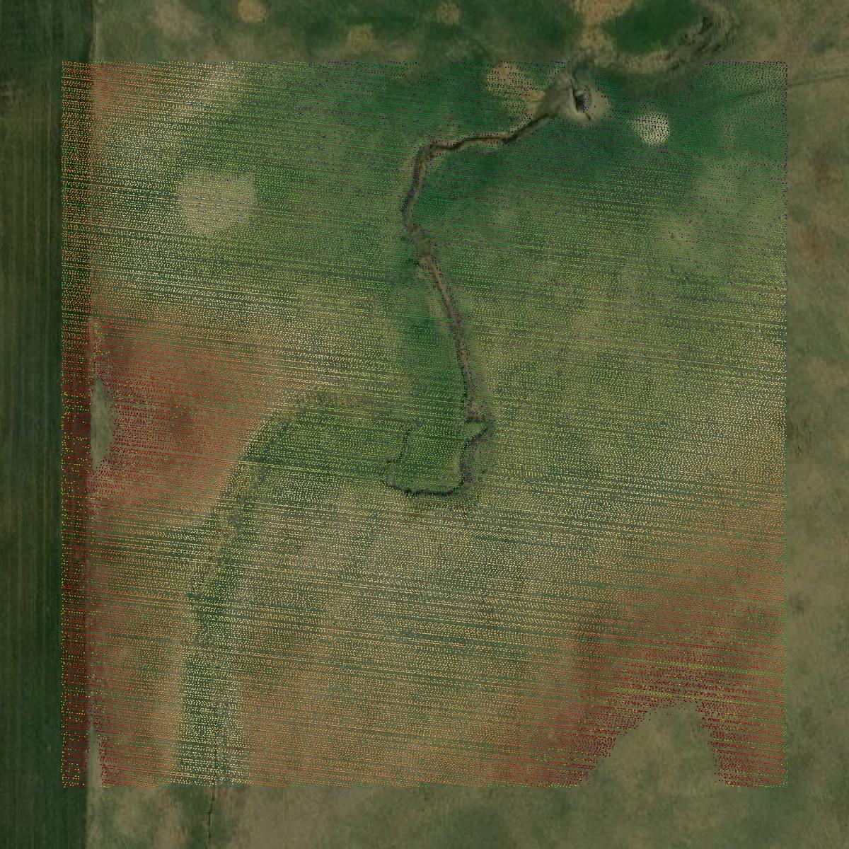 This image shows a LiDAR point cloud in Ellsworth County created using GIS data in Equator.