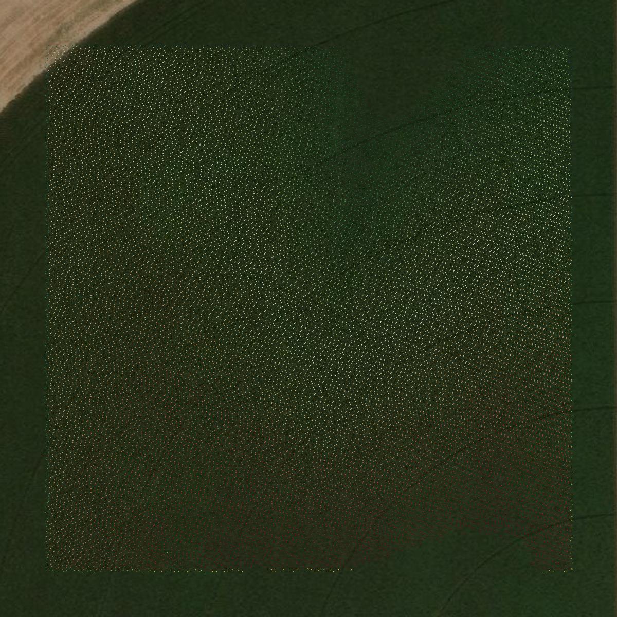 This image shows a LiDAR point cloud in Ford County created using GIS data in Equator.