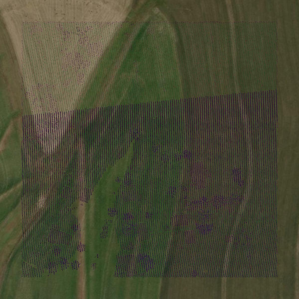This image shows a LiDAR point cloud in Geary County created using GIS data in Equator.