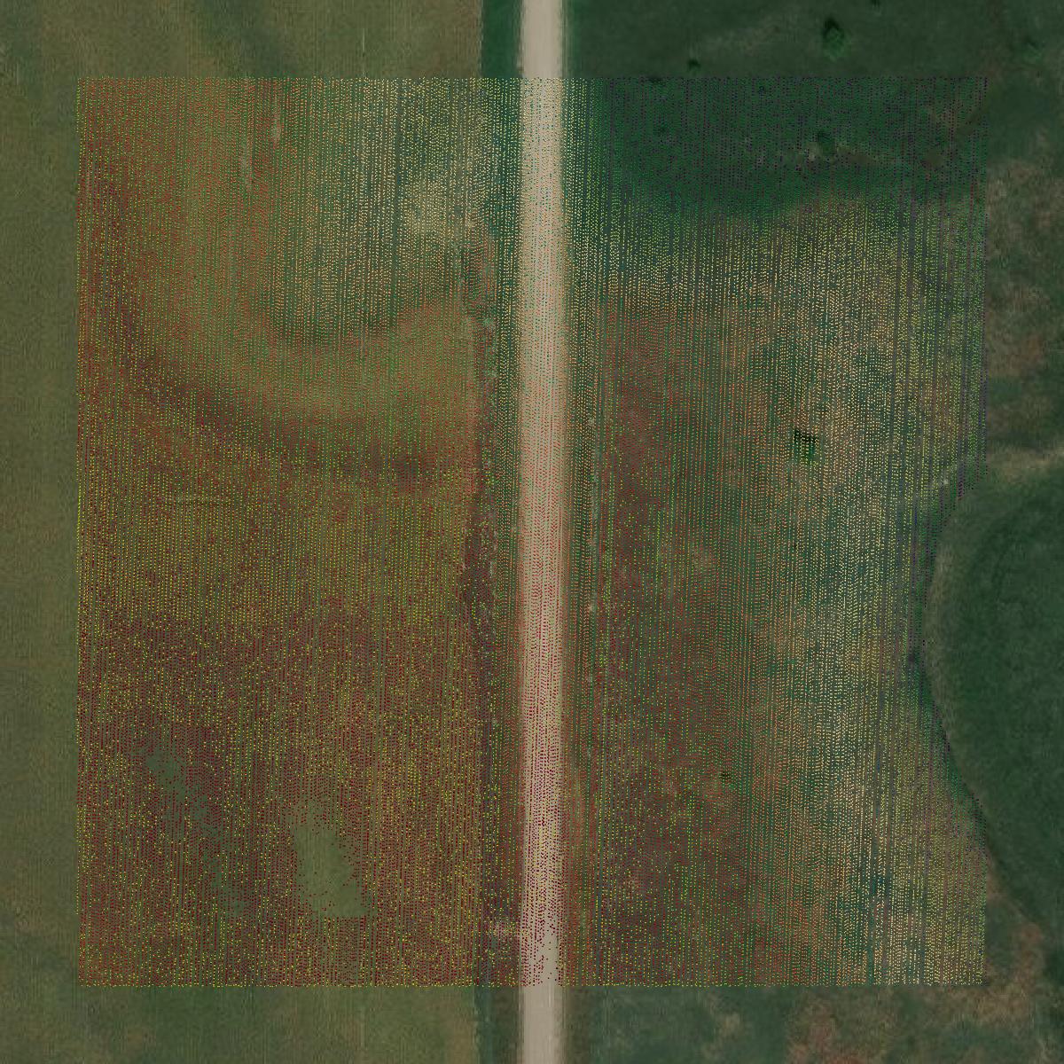 This image shows a LiDAR point cloud in Graham County created using GIS data in Equator.