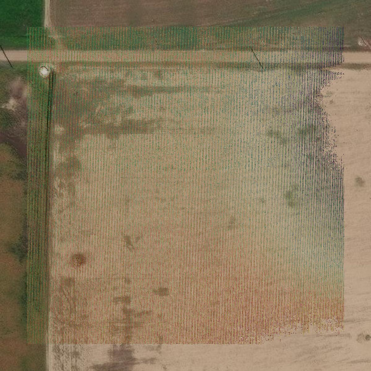 This image shows a LiDAR point cloud in Grant County created using GIS data in Equator.