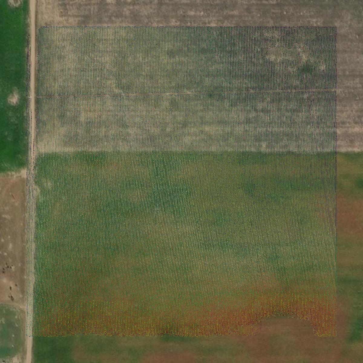 This image shows a LiDAR point cloud in Grant County created using GIS data in Equator.