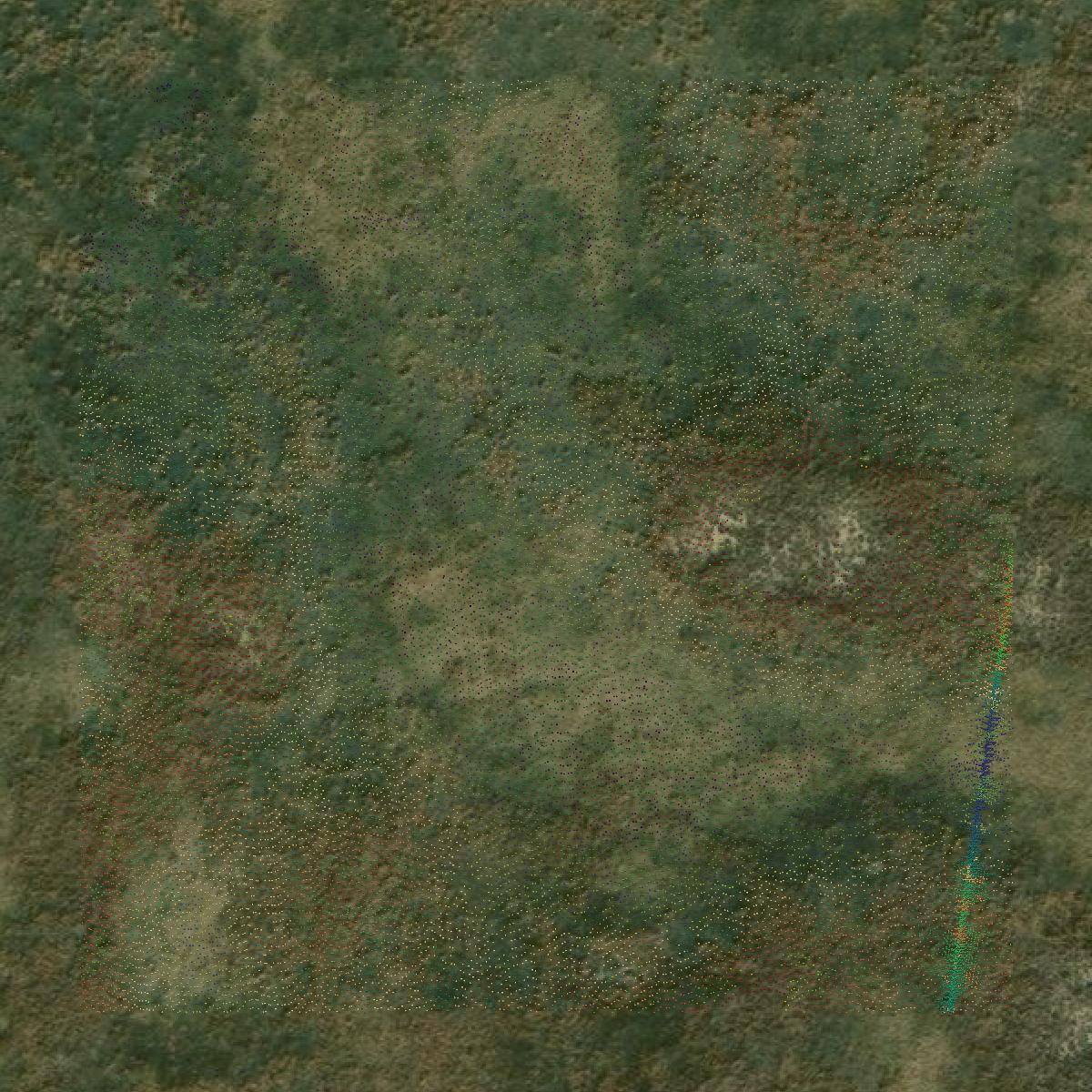 This image shows a LiDAR point cloud in Gray County created using GIS data in Equator.