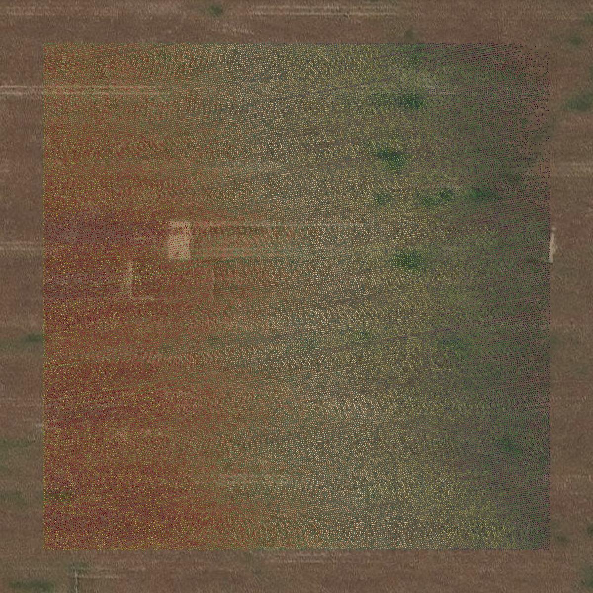 This image shows a LiDAR point cloud in Greeley County created using GIS data in Equator.