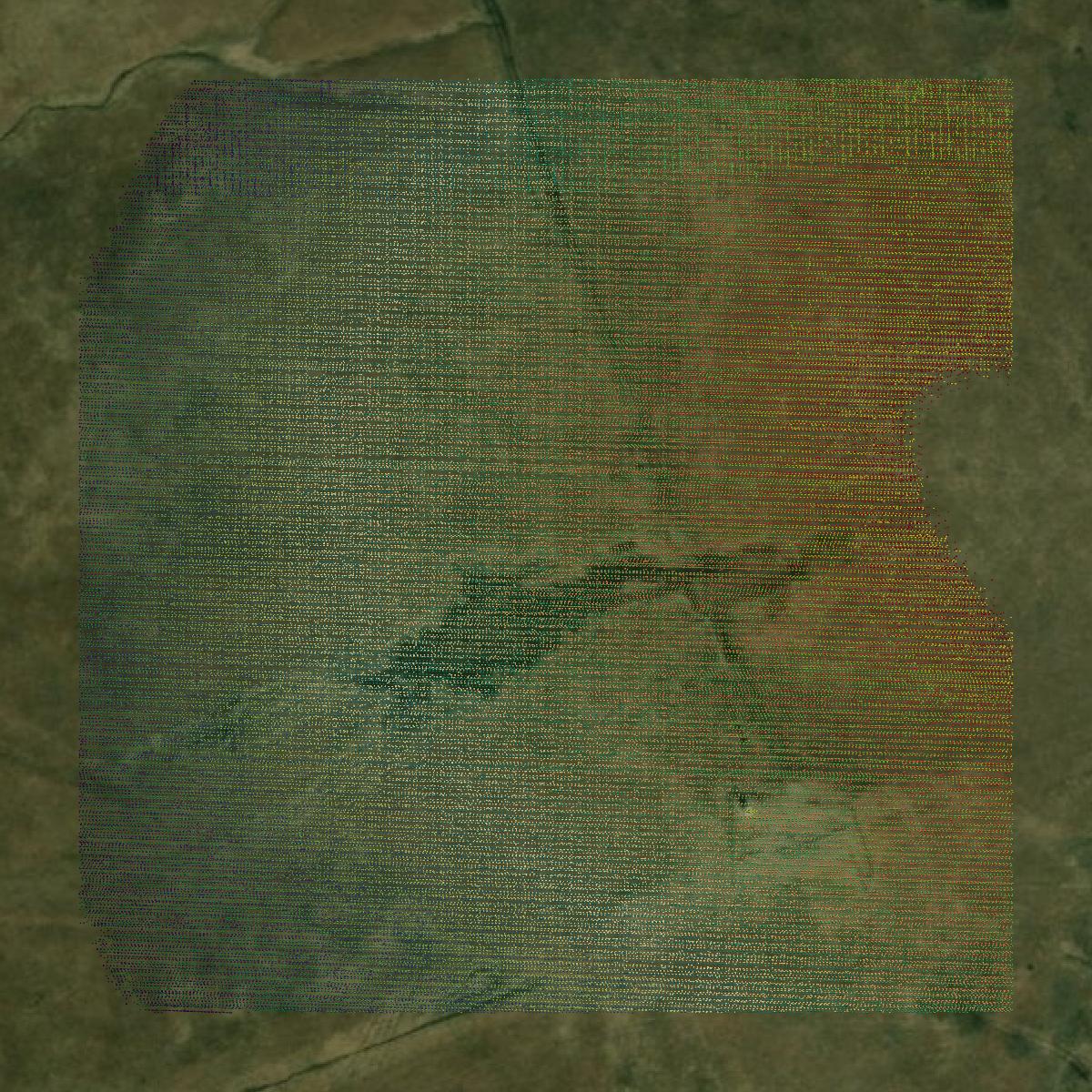 This image shows a LiDAR point cloud in Greenwood County created using GIS data in Equator.