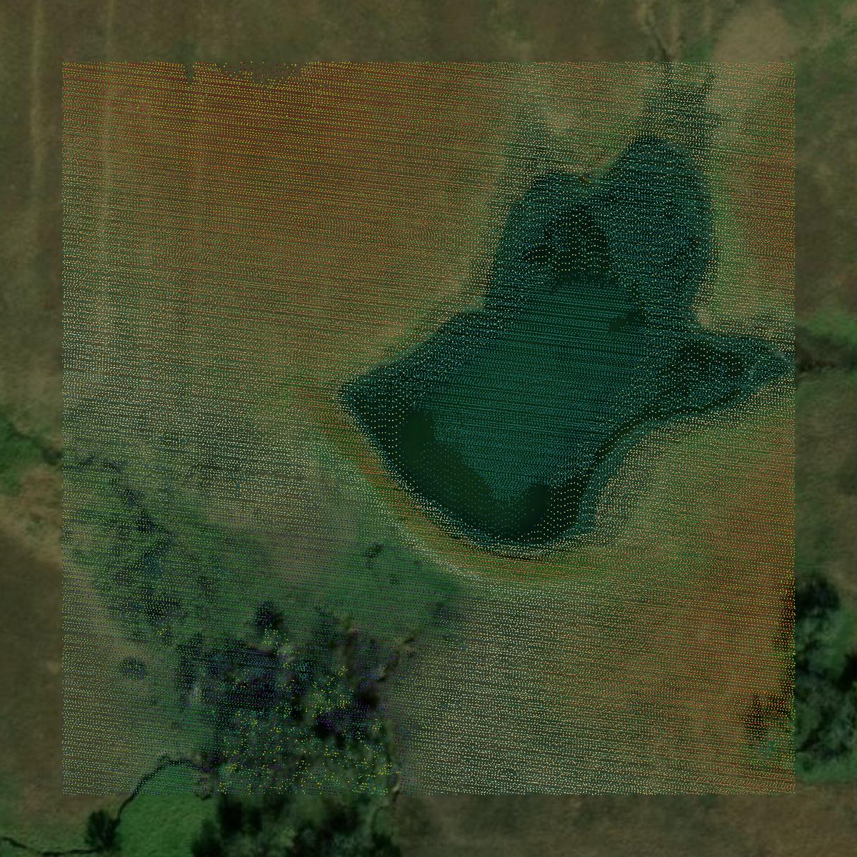 This image shows a LiDAR point cloud in Greenwood County created using GIS data in Equator.