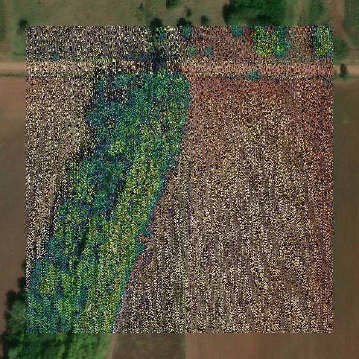 This image shows a LiDAR point cloud in Harper County created using GIS data in Equator.