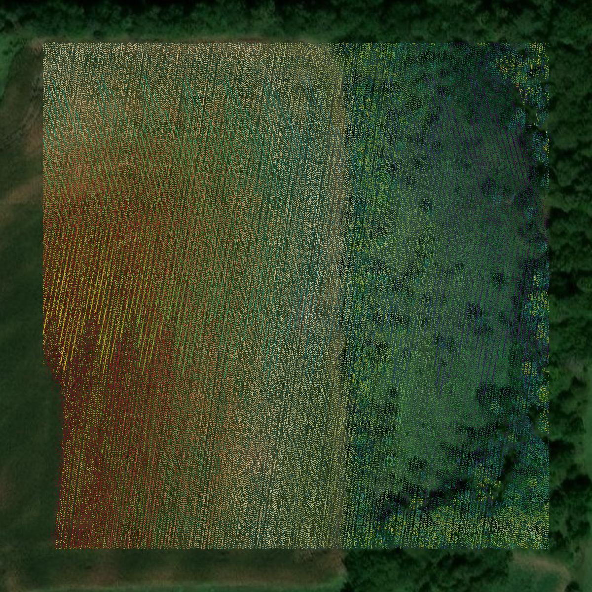 This image shows a LiDAR point cloud in Jefferson County created using GIS data in Equator.