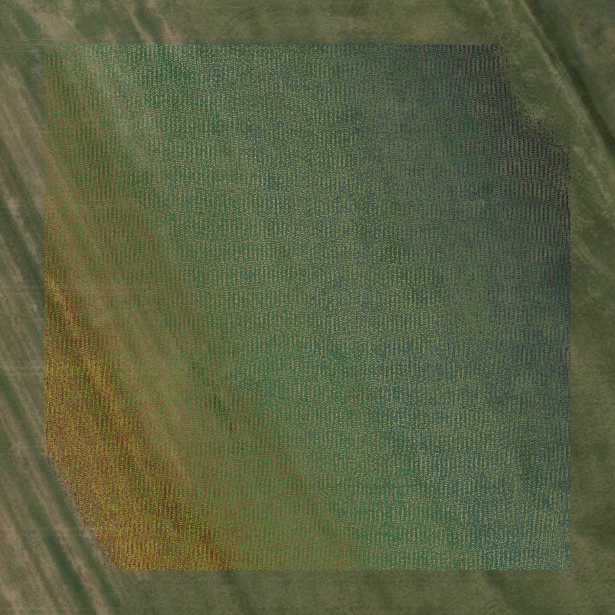 This image shows a LiDAR point cloud in Kearny County created using GIS data in Equator.