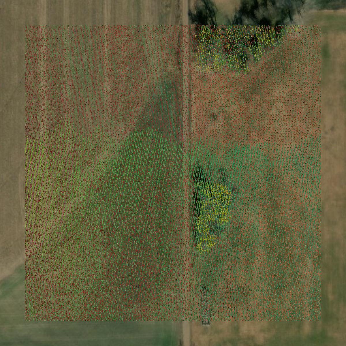This image shows a LiDAR point cloud in Kingman County created using GIS data in Equator.