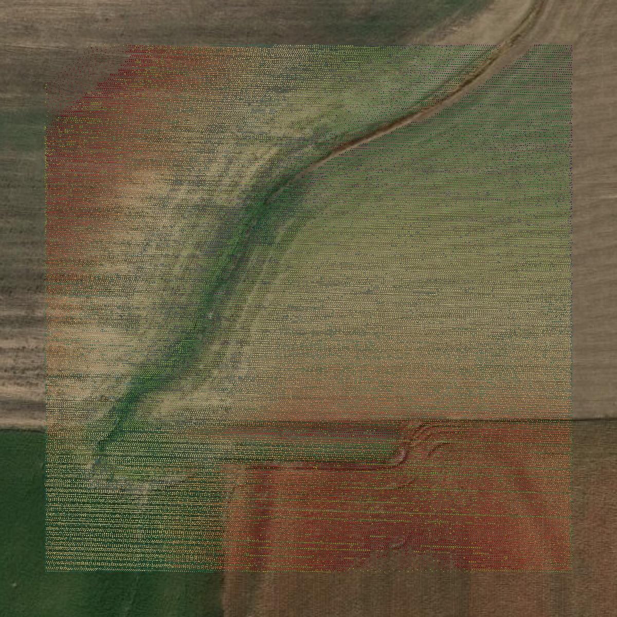 This image shows a LiDAR point cloud in Kiowa County created using GIS data in Equator.