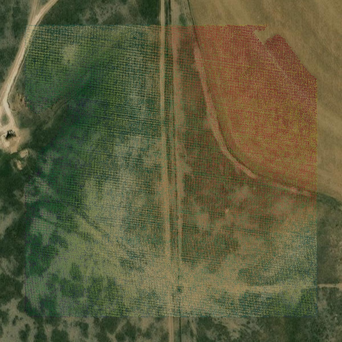 This image shows a LiDAR point cloud in Lane County created using GIS data in Equator.