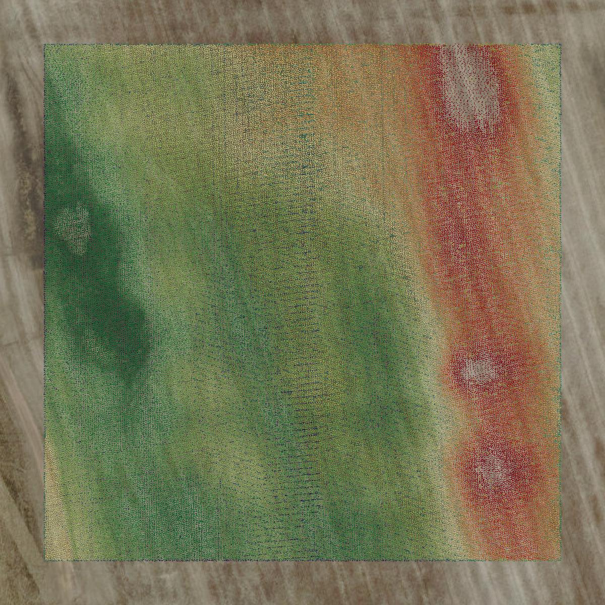 This image shows a LiDAR point cloud in Leavenworth County created using GIS data in Equator.