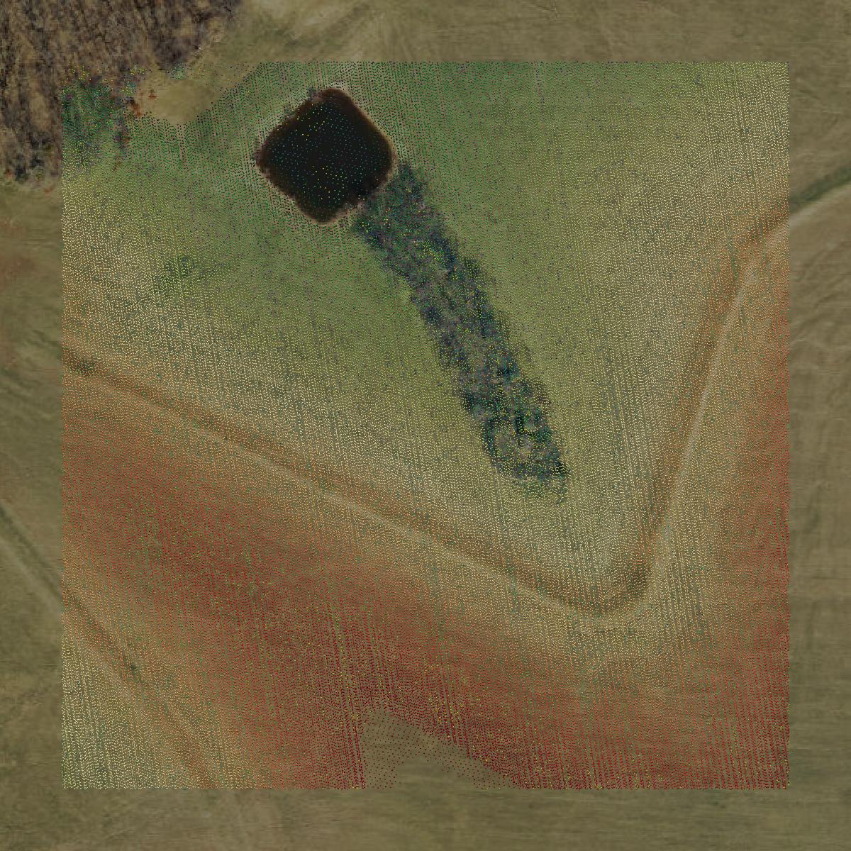This image shows a LiDAR point cloud in Leavenworth County created using GIS data in Equator.