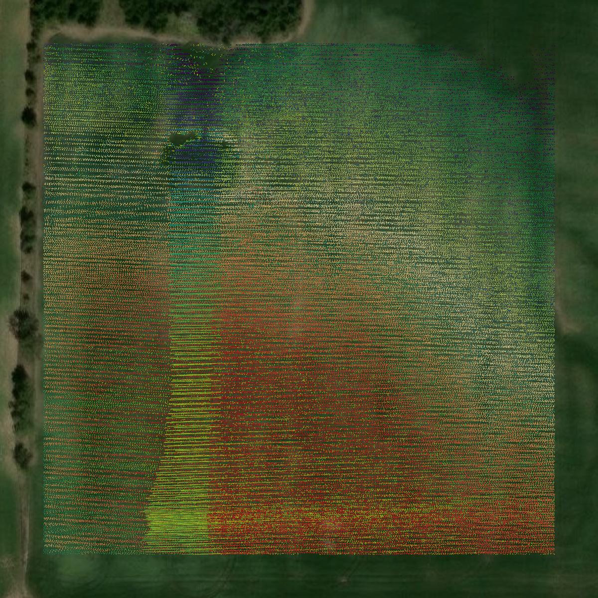 This image shows a LiDAR point cloud in Linn County created using GIS data in Equator.